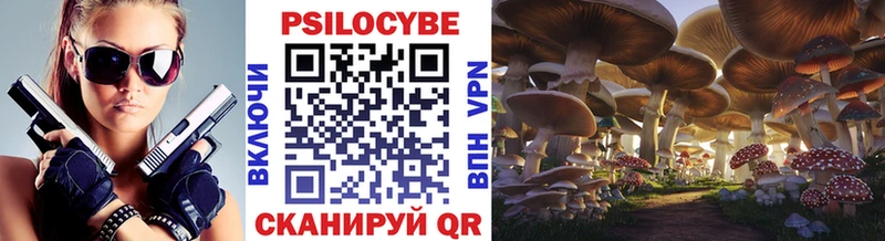 Псилоцибиновые грибы GOLDEN TEACHER  Терек 